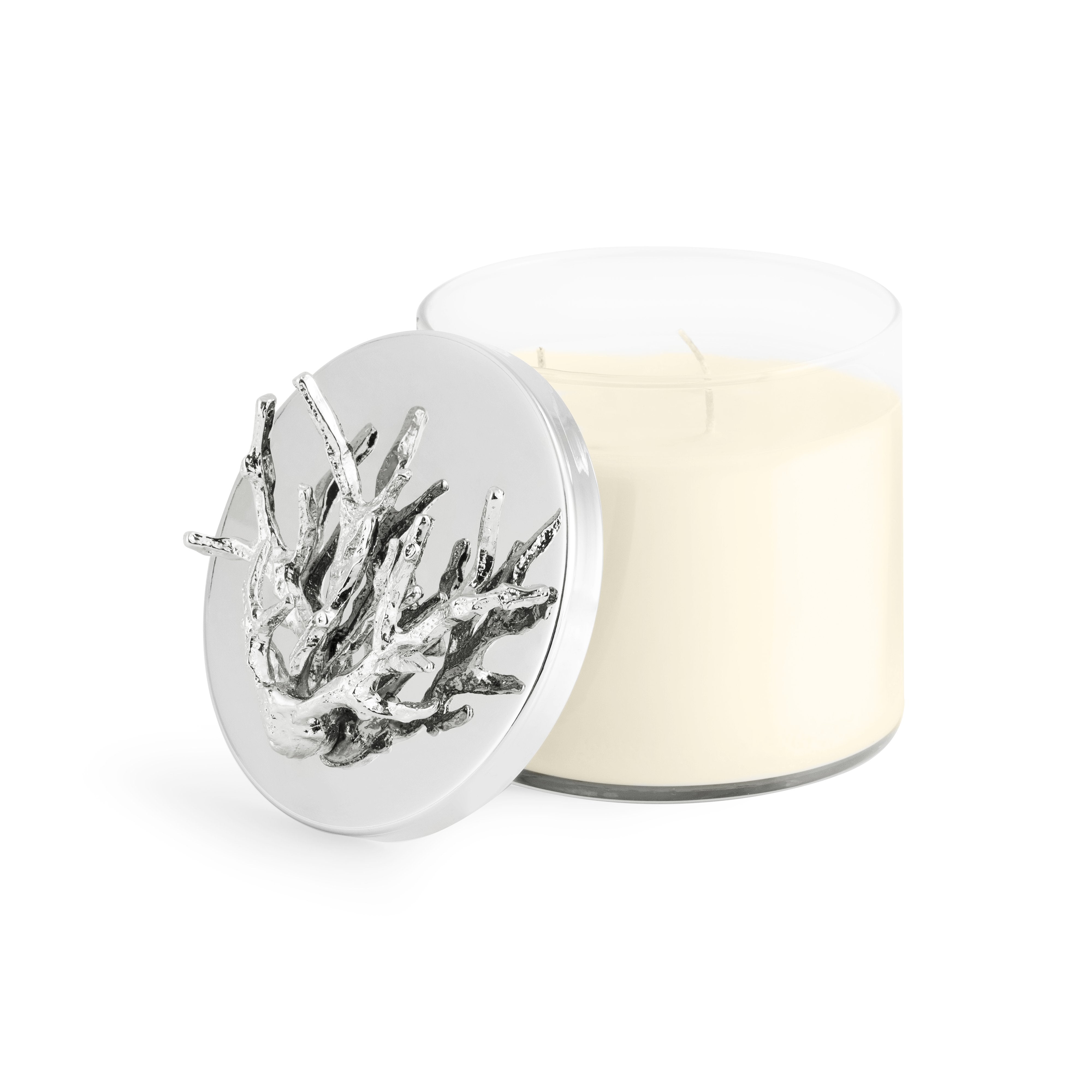 Ocean Reef Scented Soy Candle - Natural Coconut & Sea Salt Fragrance - Handmade Aromatherapy Candles for Relaxation, Meditation & Home Decor - Perfect for Bedroom, Bathroom & Living Room