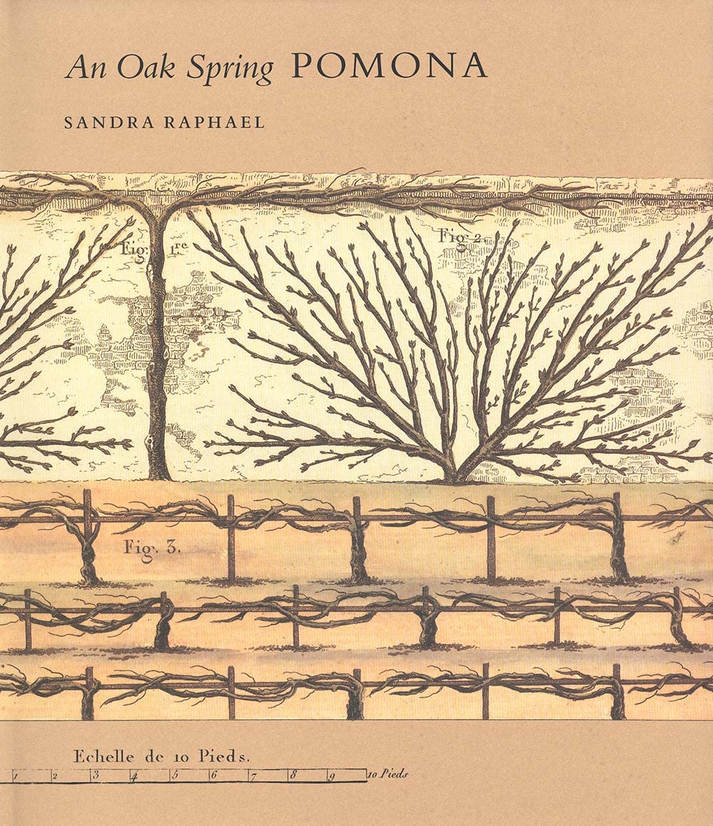 An Oak Spring Pomona: Rare Fruit Books Collection from Oak Spring Garden Library - Perfect for Horticulture Enthusiasts & Rare Book Collectors