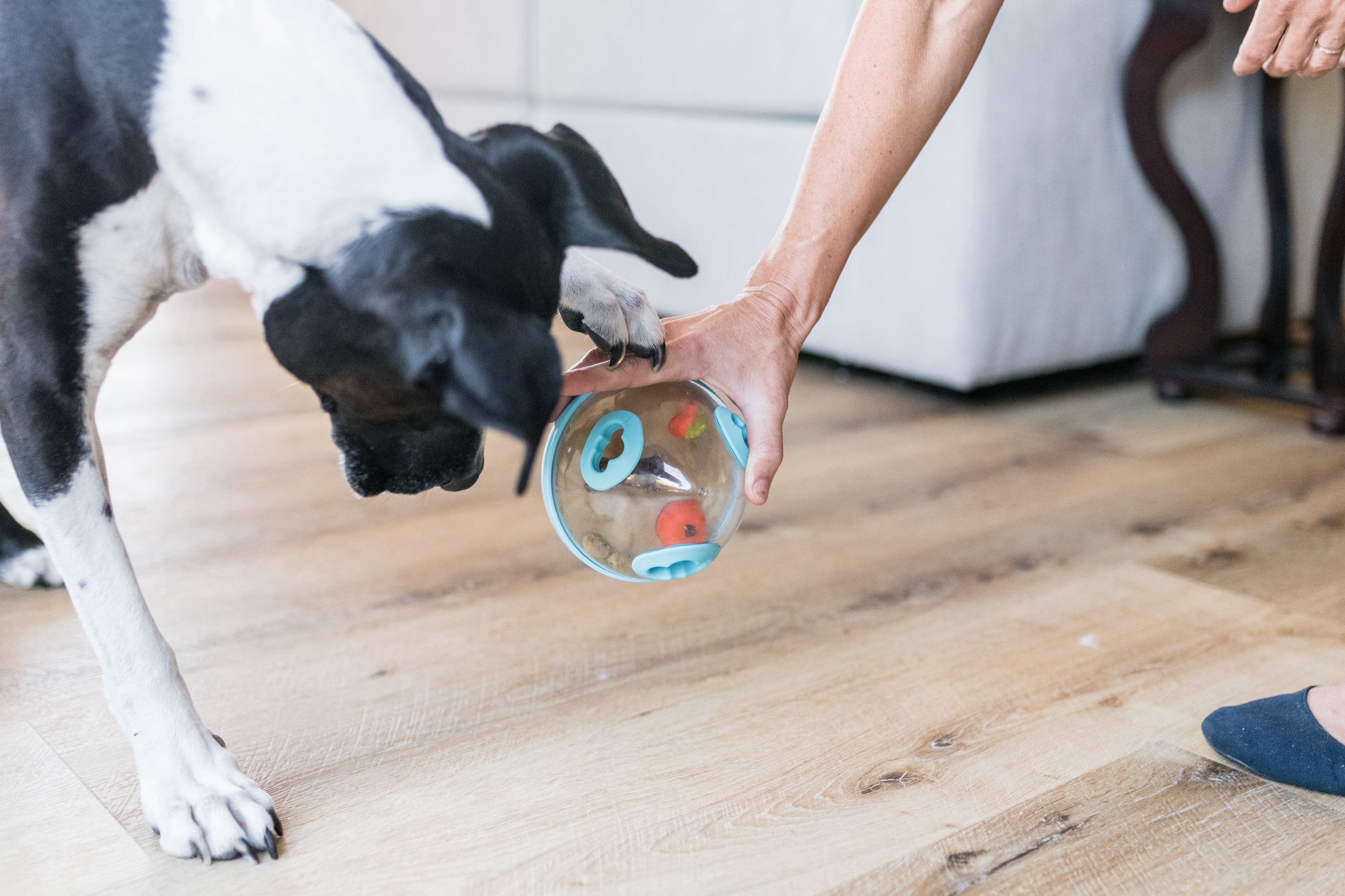 Wobble Ball Interactive Dog Treat Dispenser Toy - Blue | Pet P.L.A.Y. - Fun Puzzle Feeder for Small & Medium Dogs, Perfect for Mealtime Enrichment & Mental Stimulation
