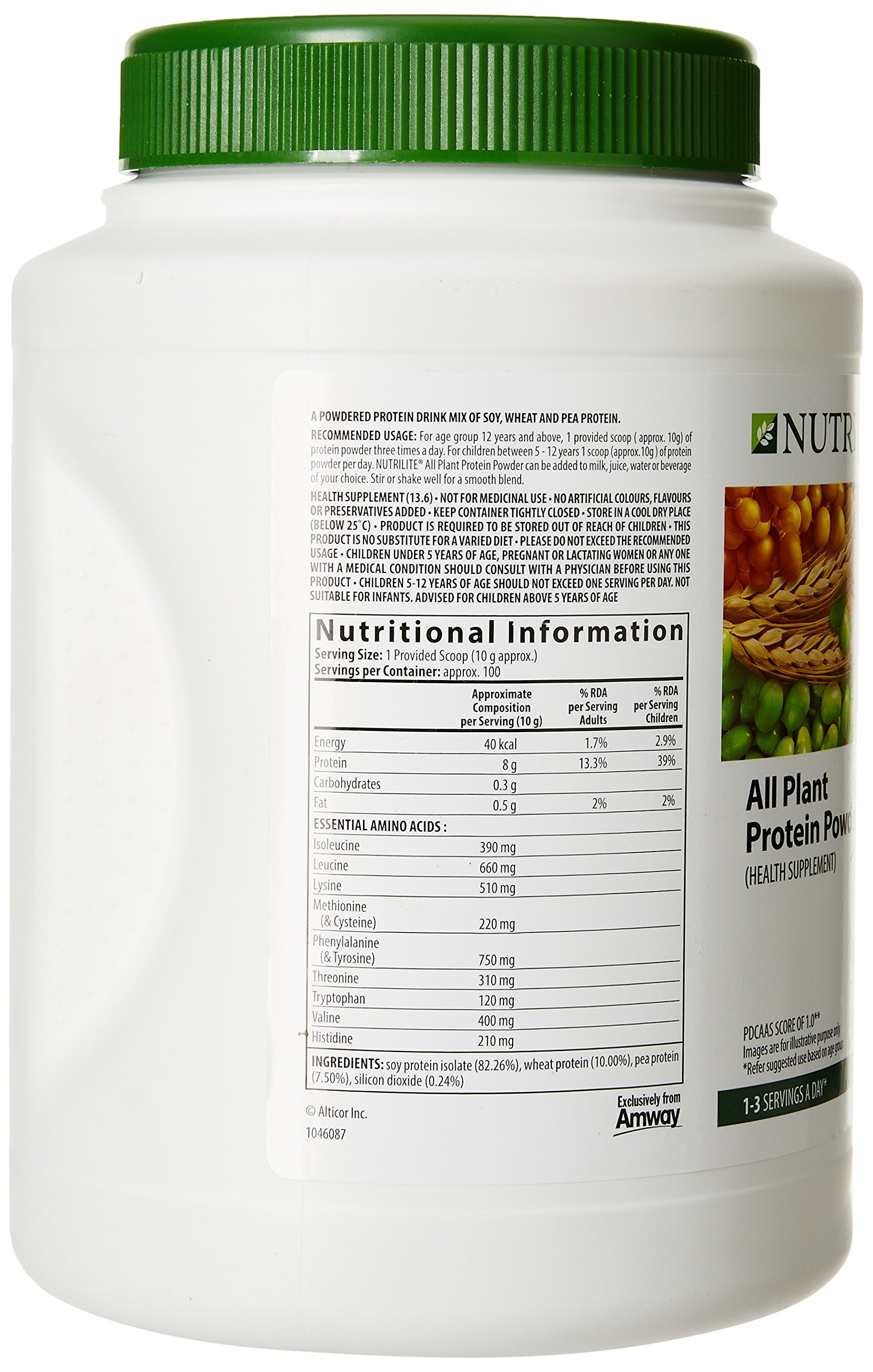 Nutrilite Amway All Plant Protein Powder 1Kg - Butterscotch Flavor | Vegan Protein Supplement for Muscle Recovery & Weight Management | Perfect for Smoothies, Baking & Post-Workout Shakes