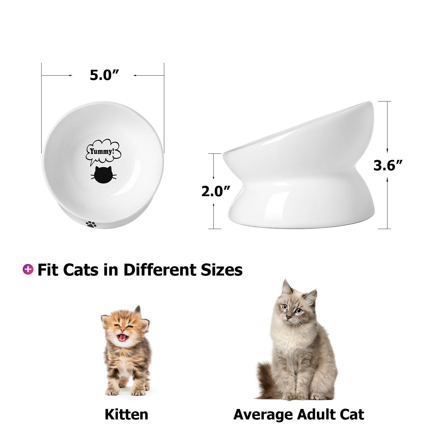 Premium Cat Food Bowls Set of 5 - Stainless Steel Elevated Pet Dishes with Non-Slip Base for Healthy Eating - Perfect for Kittens & Adult Cats at Home or Travel