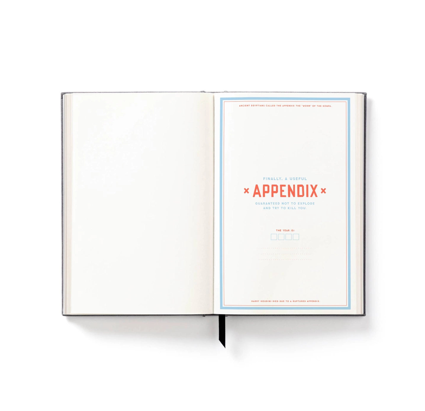 Brass Monkey The Perpetually Late Show Undated Planner - Premium Standard Weekly/Monthly Organizer for Productivity, Time Management & Goal Tracking - Perfect for Students, Professionals & Busy Moms