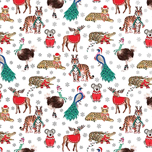Holiday Safari