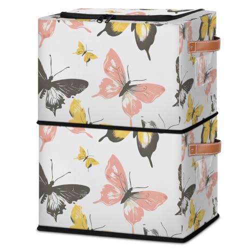 Butterfly Animal