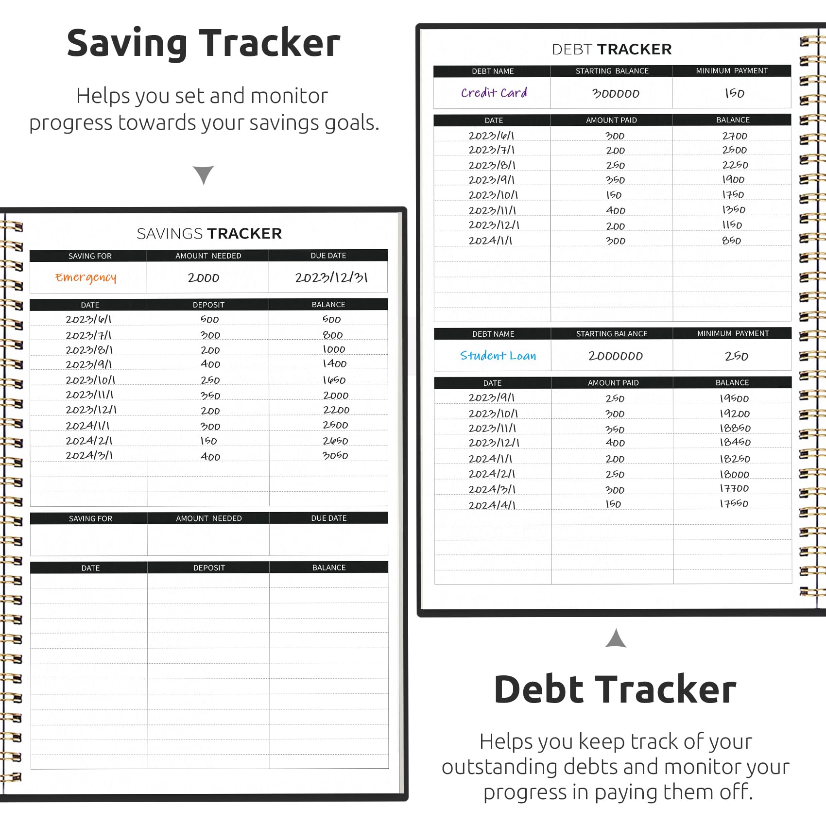 2024-2025 Monthly Budget Planner & Expense Tracker Notebook - Undated Finance Organizer with Bill Management for Money Control | Personal Accounting Book for Savings Goals & Financial Planning (Black)