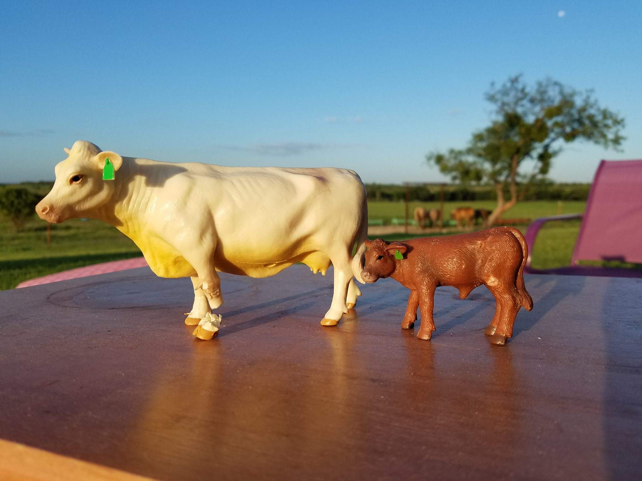 Little Buster Toys Angus Calf - 1/16 Scale Realistic Red Angus Calf Figure for Farm Animal Collectors & Educational Play