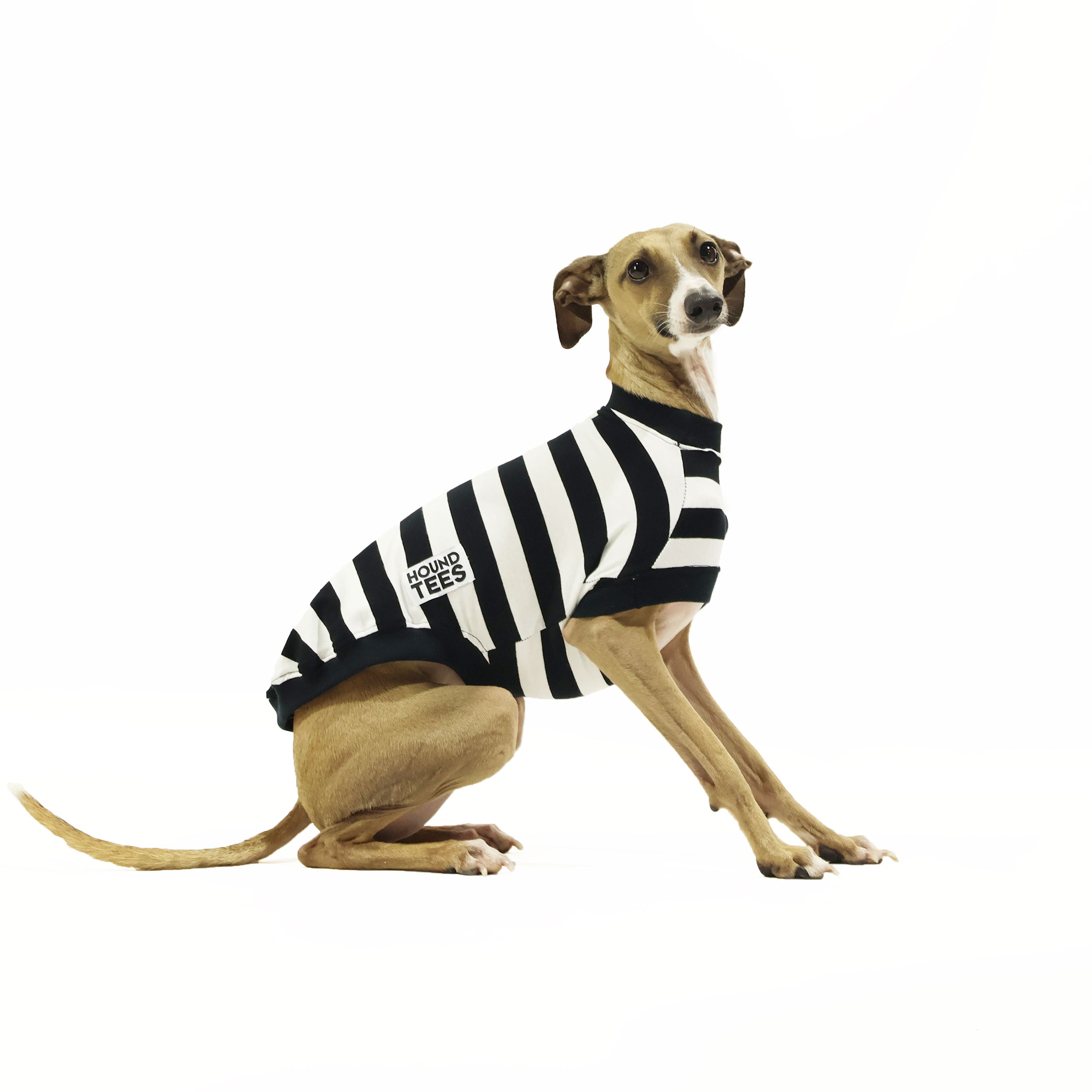 Italian Greyhound Sleeveless Dog T-Shirt - Comfortable Breathable Summer Pet Tee for Small Dogs - Perfect for Walks, Outdoor Adventures & Photo Shoots