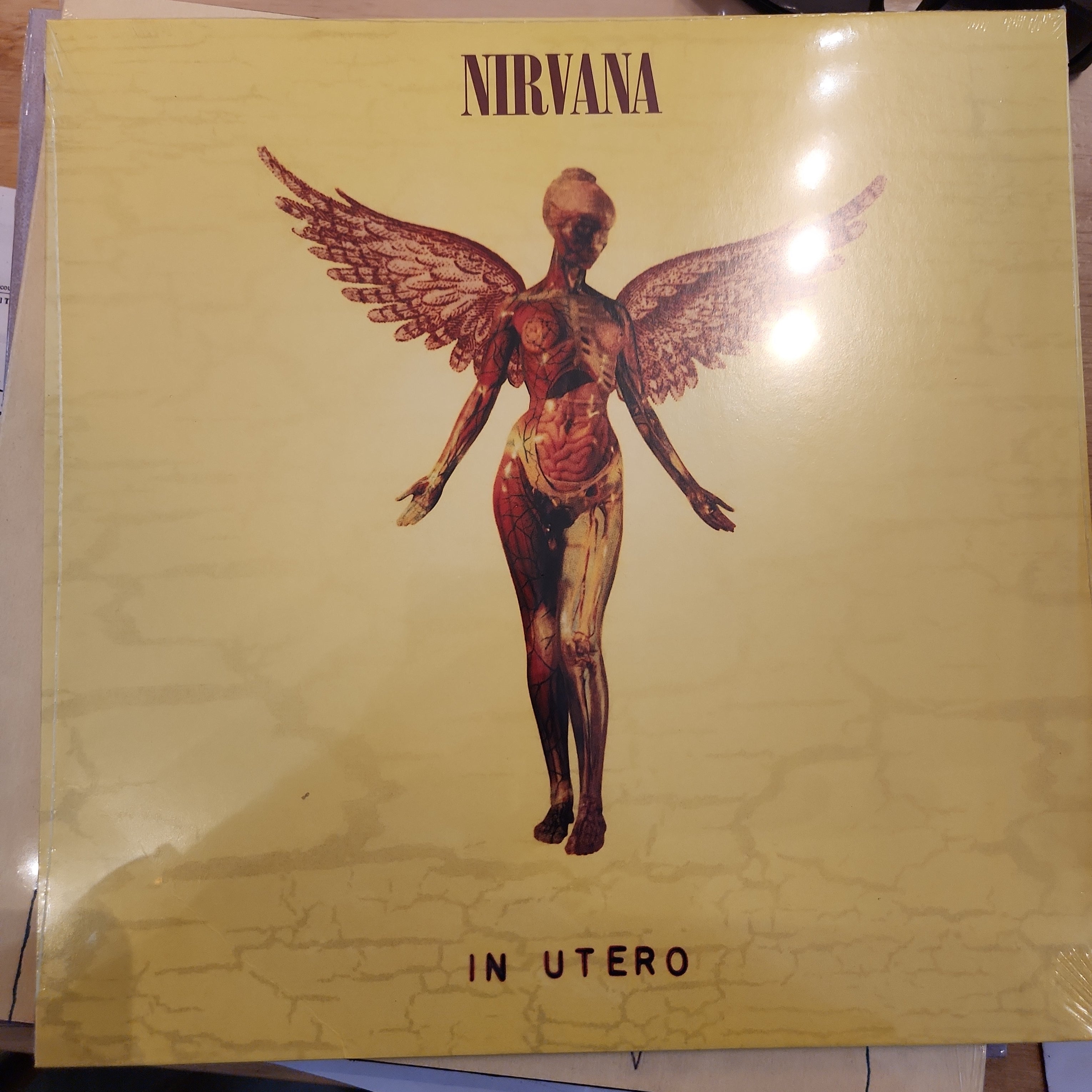 Nirvana In Utero Vinyl LP Record - 180 Gram Audiophile Edition - Perfect for Collectors & Music Lovers - Great for Home Listening & Gifts