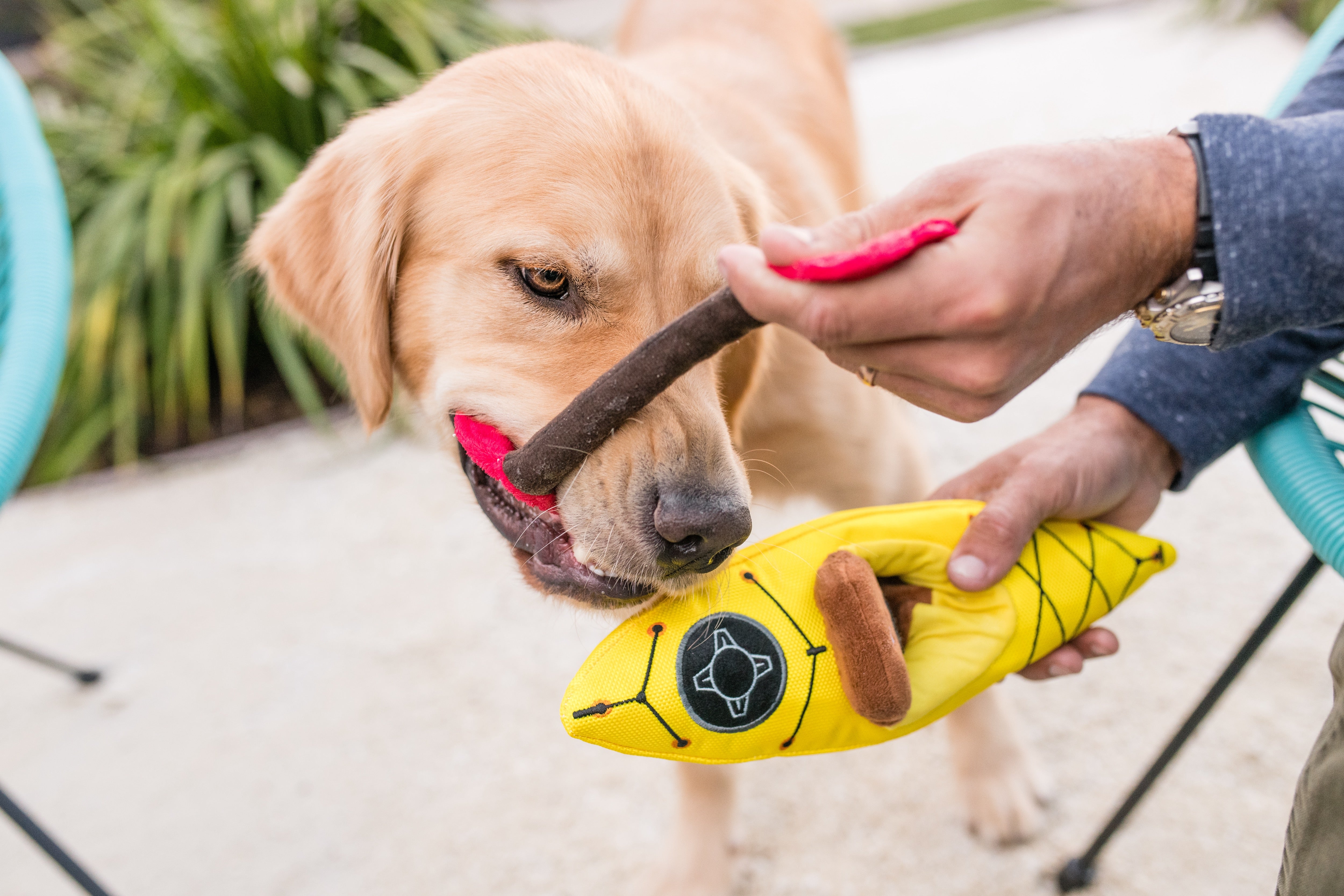 El Kayak Dog Toy - Camp Corbin™ Plush Chew Toy for Dogs | Durable & Soft Pet P.L.A.Y. Dog Chew Toy for Indoor & Outdoor Play, Fetch, and Cuddling