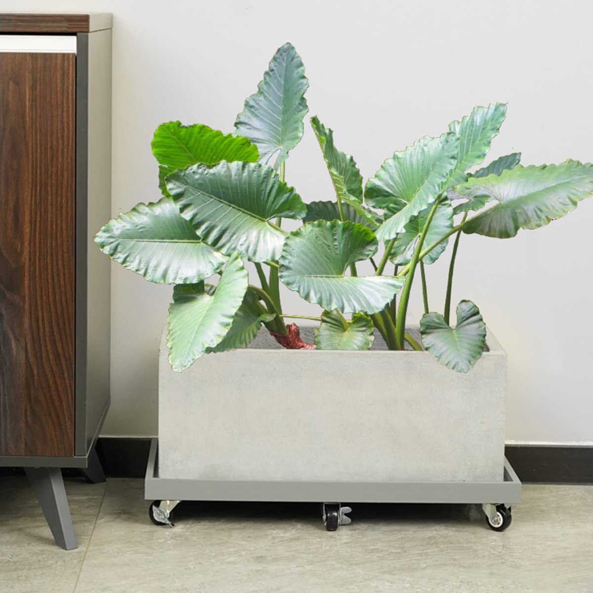 **Rolling Planter Stand with Wheels - 47x24cm Mobile Plant Caddy for Indoor & Outdoor Potted Plants - Heavy Duty Flower Pot Holder with Casters for Easy Moving - Perfect for Garden, Patio, Balcony & Home Decor**