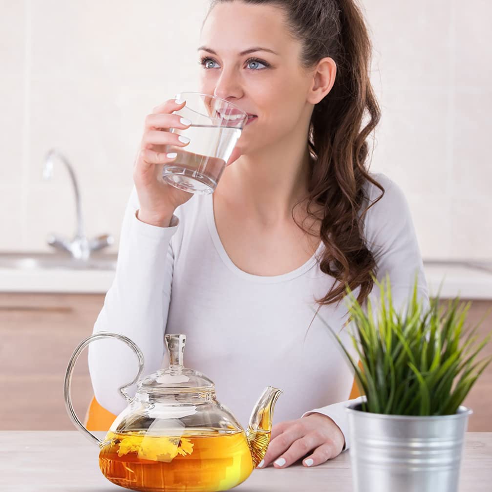 Glass Teapot with Infuser - Heat Resistant Tea Maker Kettle for Home, Hotel & Office - Perfect for Loose Leaf Tea, Herbal Tea & Iced Tea Brewing