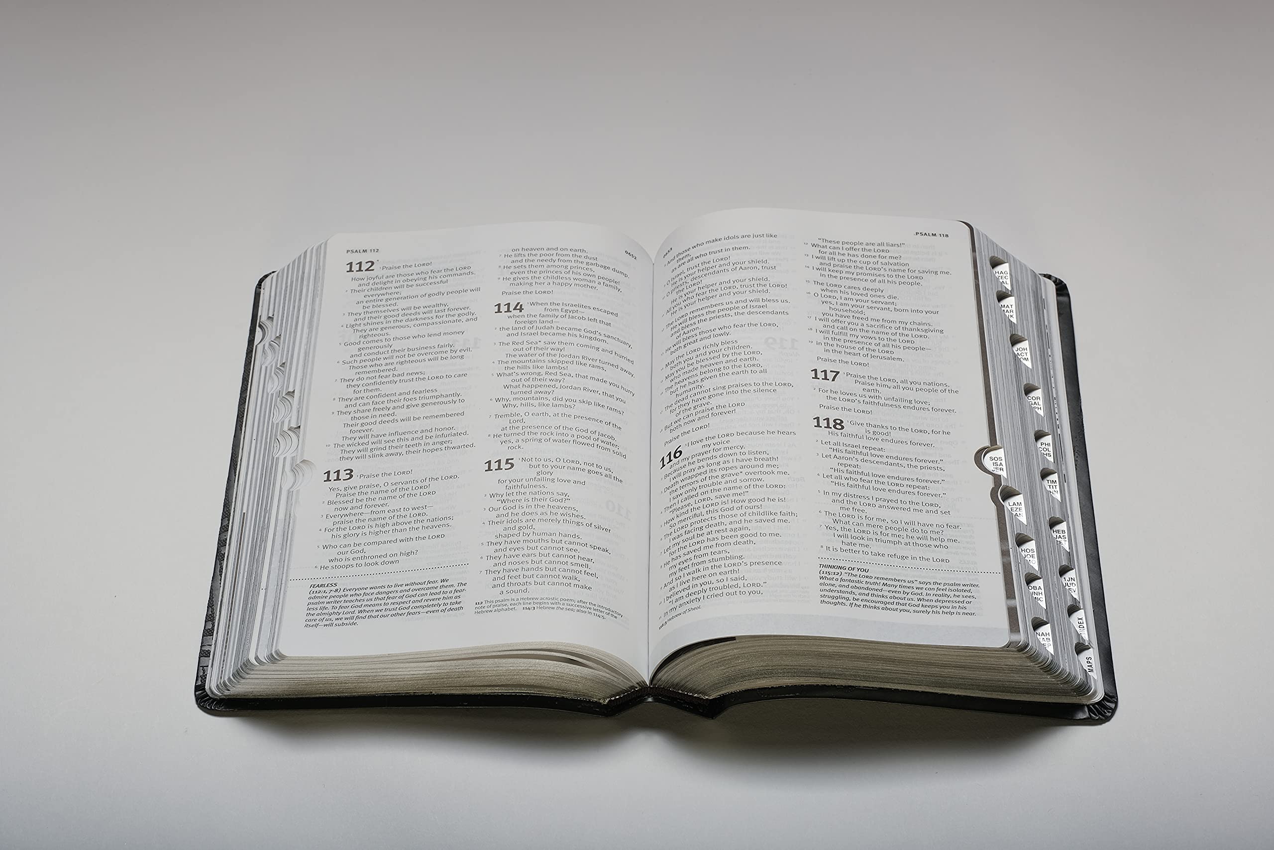 Tyndale NLT Teen Life Application Study Bible - LeatherLike Steel Cover with Index, New Living Translation Study Bible with Notes & Features | Perfect for Youth Bible Study, Church Groups & Personal Devotion
