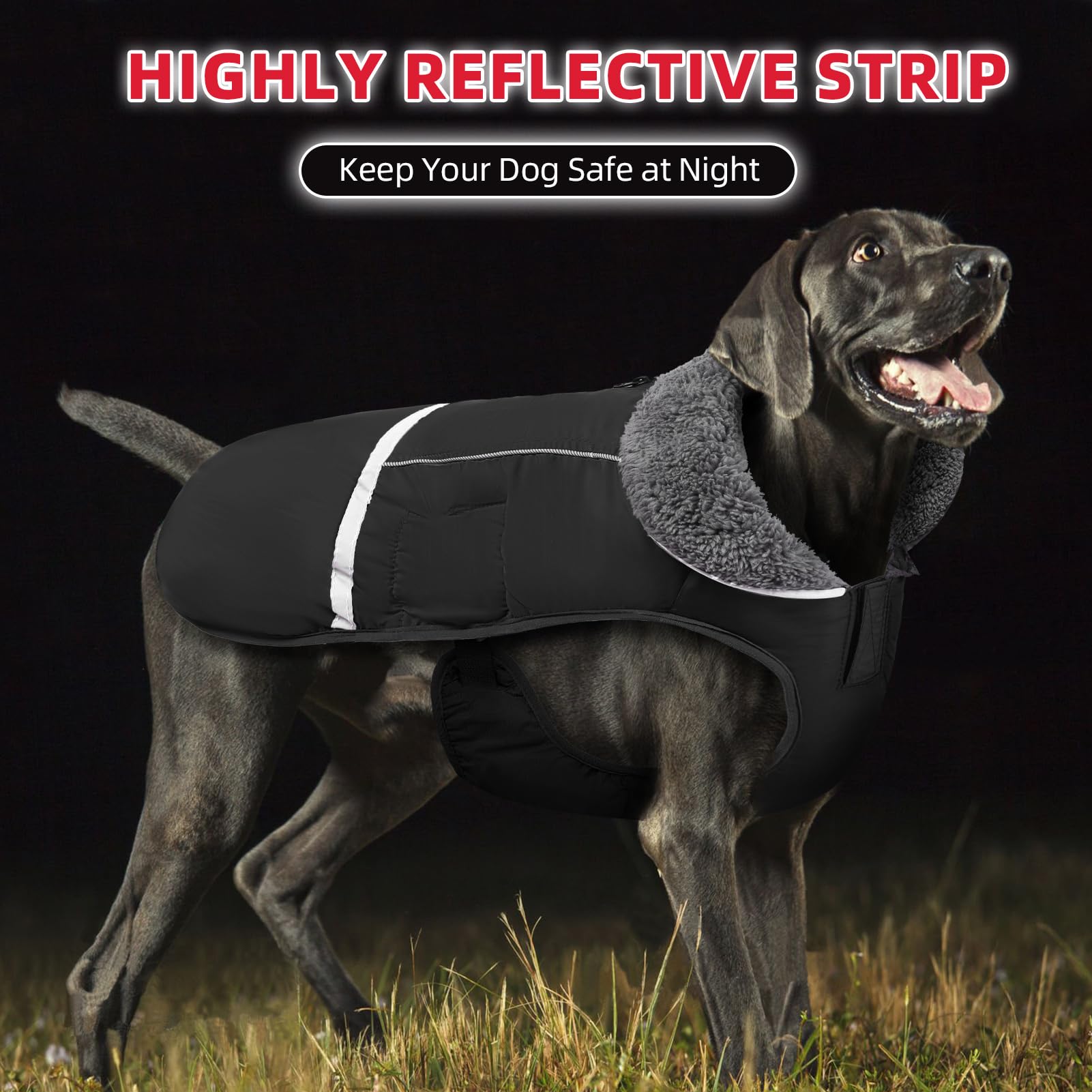 Doglay Waterproof Dog Winter Coat - Thick Fleece Lining & Reflective Design for Small Medium Large Dogs | Cold Weather Protection for Walking, Hiking & Outdoor Adventures