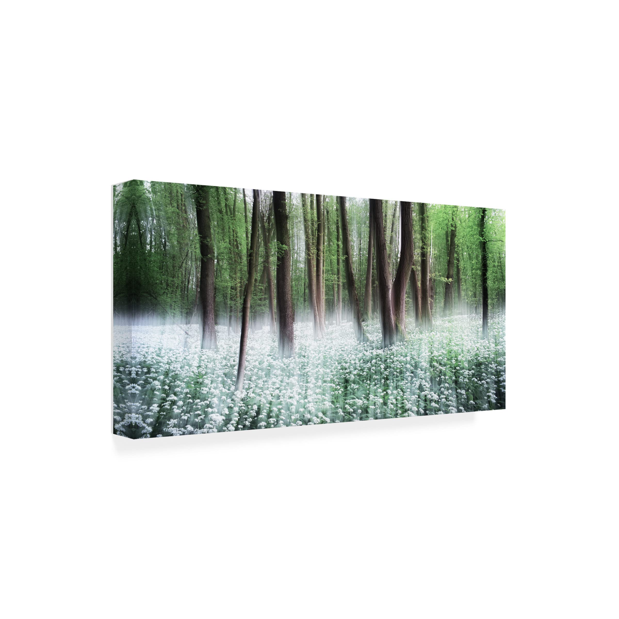Trademark Fine Art 'Wild Garlic' Canvas Wall Art by Burger Jochen - Vibrant Floral Painting for Living Room, Bedroom & Office Decor