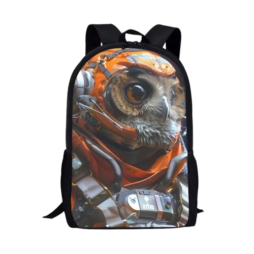 Owl-1