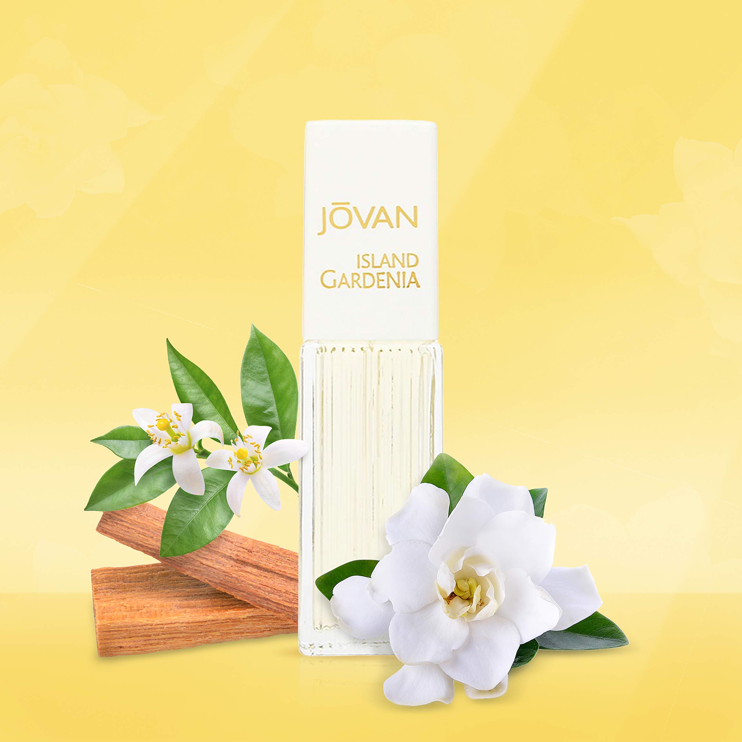 Jovan Island Gardenia Eau de Cologne Spray for Women - 1.5 fl oz Travel Size Perfume with Neroli, Gardenia & Sandalwood Notes - Long Lasting Floral Fragrance for Everyday Wear, Office & Date Night