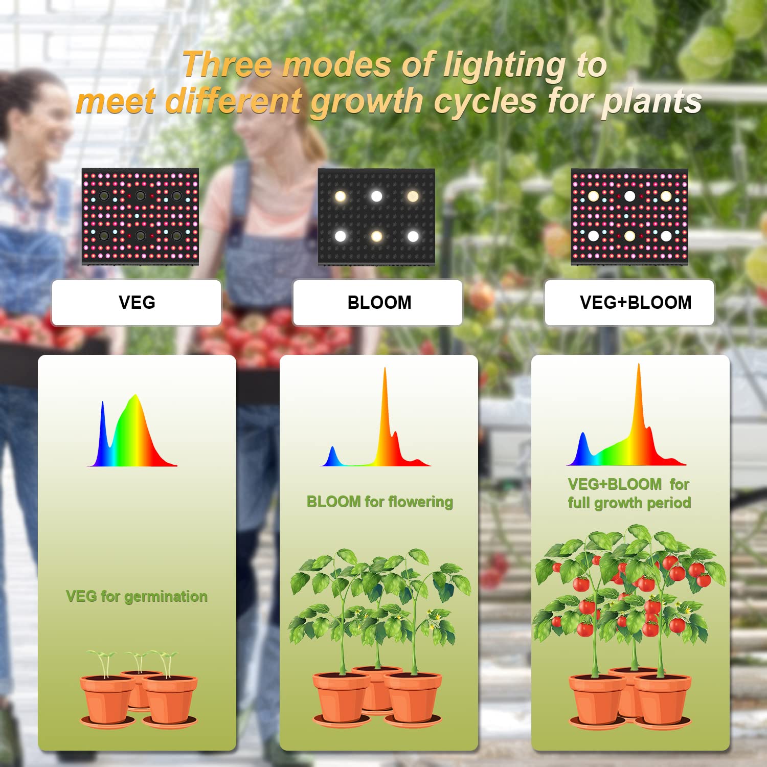 AGLEX 655W COB LED Grow Light Full Spectrum - Hydroponic Indoor Plant Growing Lamp with Daisy Chain & Veg/Bloom Switch for Greenhouse, Vegetables, Flowers (C3000) - Perfect for Seedlings, Herbs, and Cannabis Cultivation