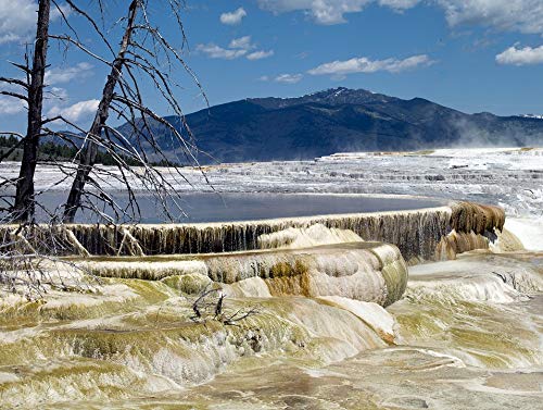 20x30 Inch Laminated Travel Poster - Vibrant Patagonia Chile Landscape Wall Art for Home & Office Decor | Perfect for Living Rooms, Bedrooms, Cruise Cabins & Gift Giving