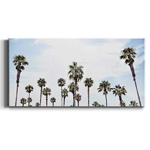 Palm Trees in Florida