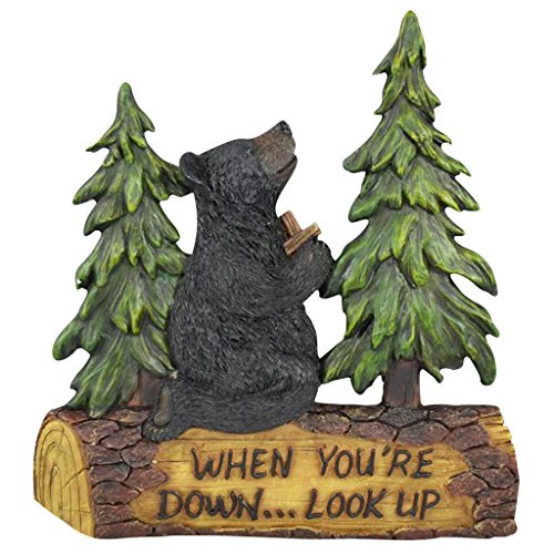 Black Bear When You're Down... Look Up