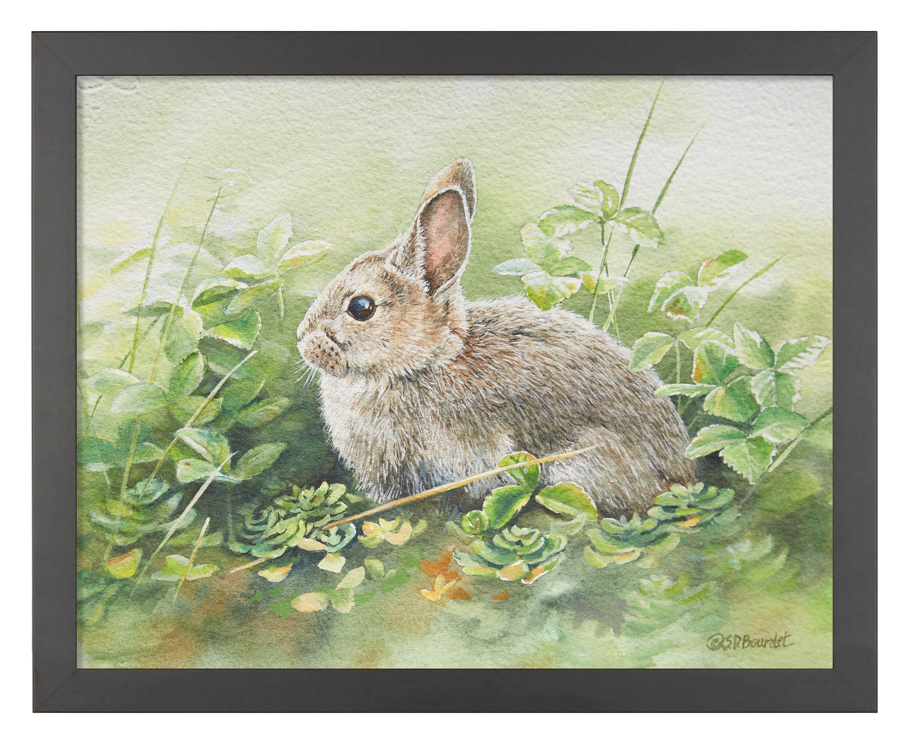 Cottontail Adventure Art Prints - Beautiful Rabbit Wall Decor for Nursery, Kids Room & Home - Perfect Gift for Animal Lovers