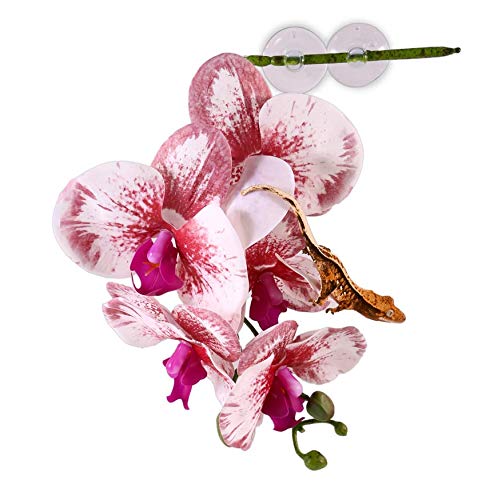 Pangea White Hanging Orchid for Reptile Terrarium Decor - Perfect for Vivarium, Gecko & Frog Habitat Enclosures