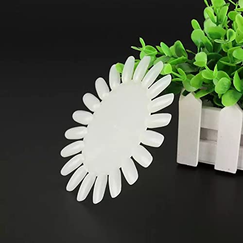 **10Pcs Paczo False Nail Tips Color Display Wheel - Transparent White Acrylic Nail Art Practice Board for Nail Polish Design & Training | Perfect for Salons, DIY Nail Art & Beginners**