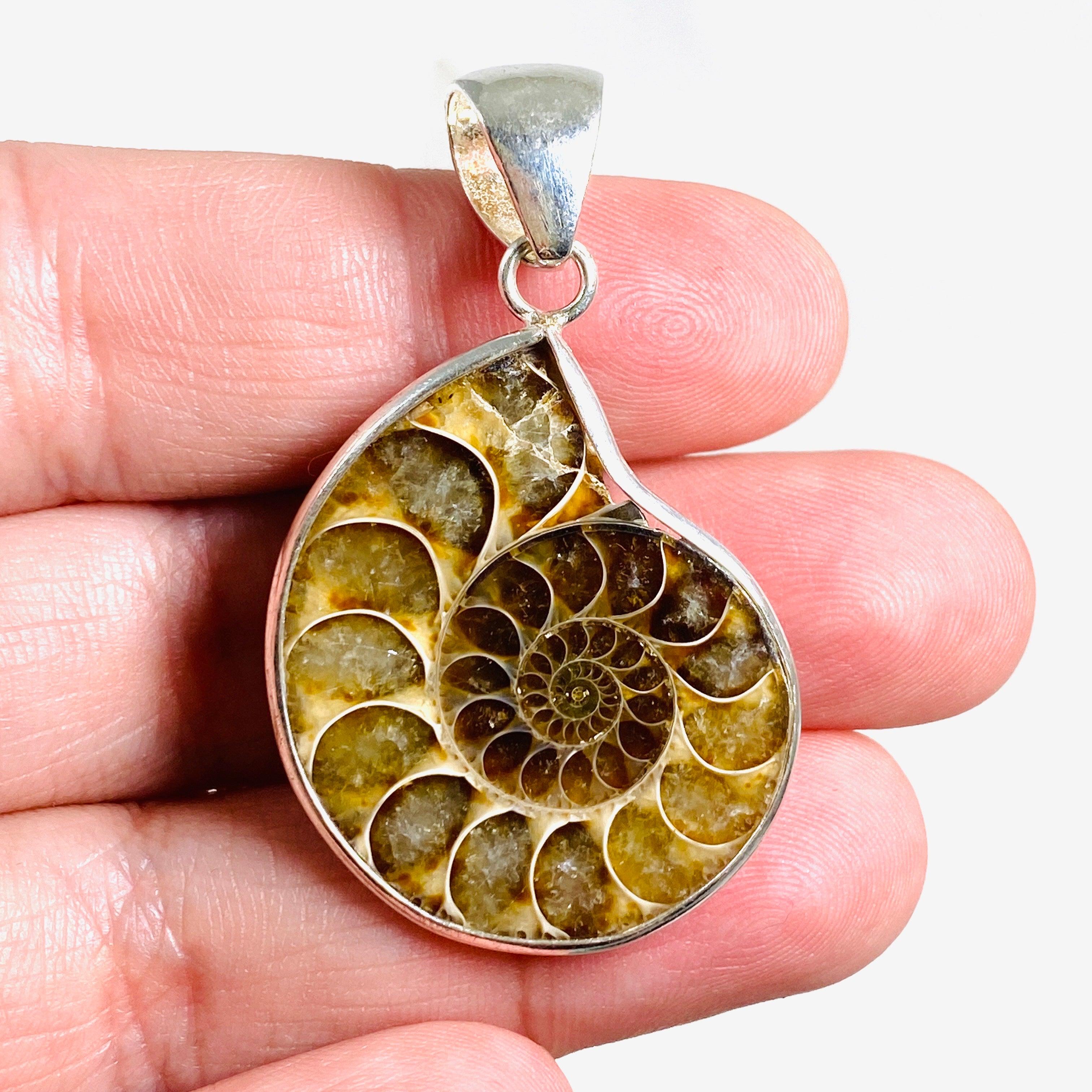 Natural Ammonite Shell Pendant Necklace - Unique Fossil Jewelry for Women & Men - Perfect for Boho Style, Spiritual Healing & Gift Giving