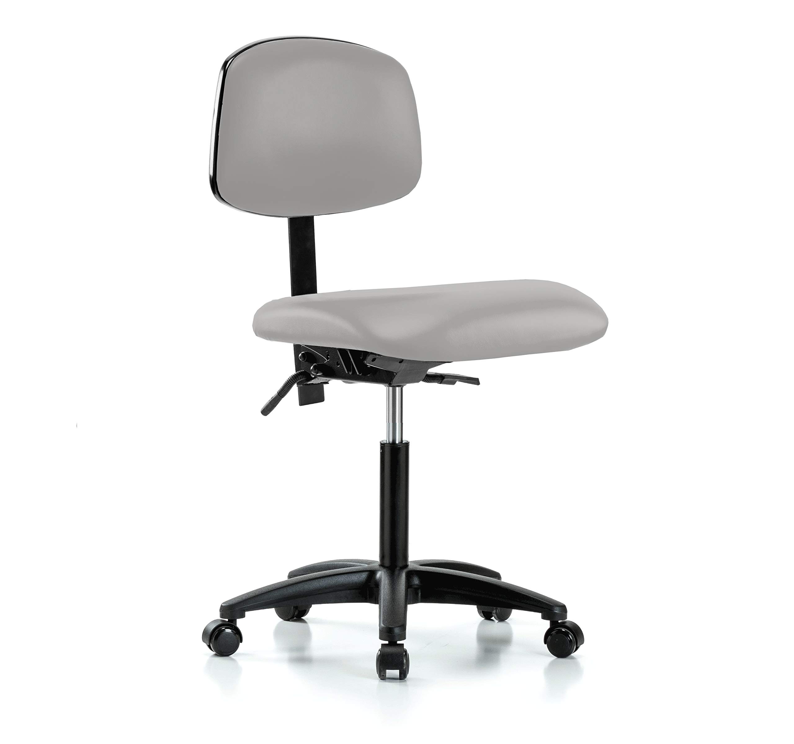 Perch Rolling Lab Chair with Adjustable Back Support & Height (20-27