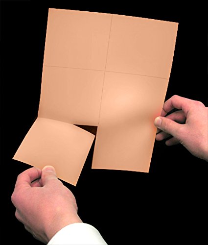 High-Speed Laser Printer Blank Perforated Cards - 6 per Page, Salmon Color (6000 Sheets) for Mailing Labels, Business Cards & Event Tickets