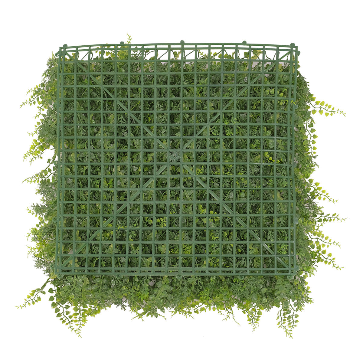 Artificial Golden Pine Hedge Panel 50x50cm - Realistic Faux Hedge for Home Decor, Privacy Screen, and Garden Landscaping