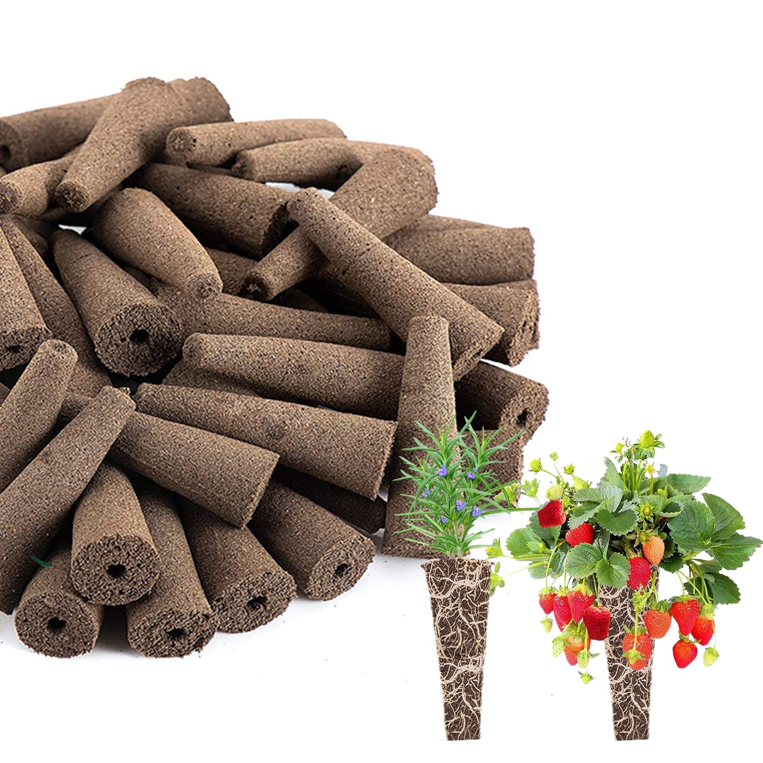 **50 Pack AeroGarden Grow Sponges - Hydroponic Plant Growing Plugs for Seed Starting & Indoor Gardening - Perfect for Herbs, Vegetables, and Flowers**