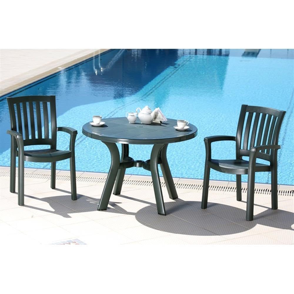 Premium Green Resin Patio Dining Arm Chairs (Set of 2) - Weather-Resistant Outdoor Furniture for Garden, Poolside & Backyard Relaxation
