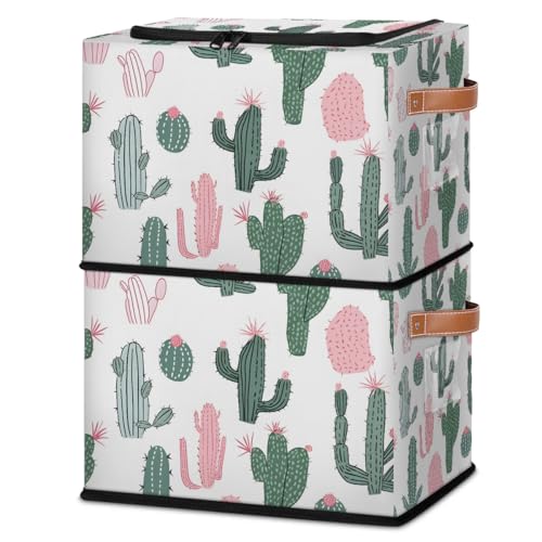 Cactus Plant