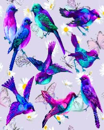 Hummingbird Flower