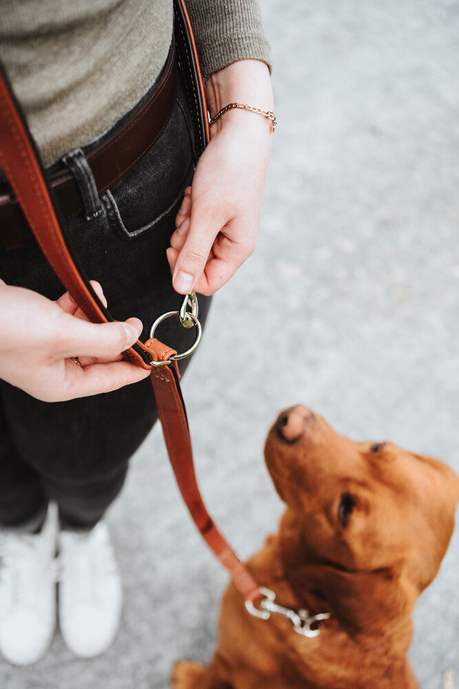 HUNTER UP Adjustable Dog Training Leash - Flat Design for Canadian Pets - Perfect for Obedience Training, Walking & Outdoor Adventures