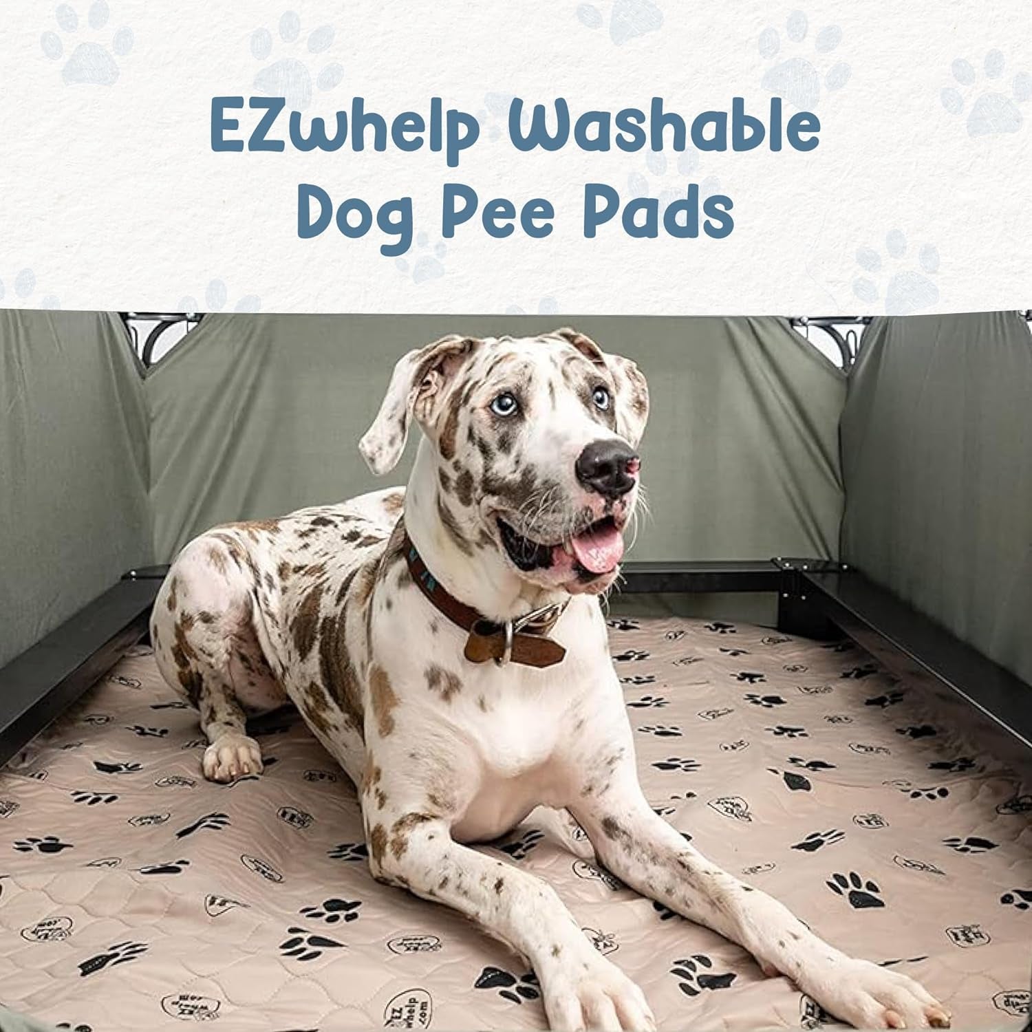 Washable Waterproof Puppy Training Pads - 16.5x19.5 Inch Reusable Dog Potty Mats for Housebreaking, Whelping & Pet Accidents (2 Pack) - Perfect for Puppy Training, Senior Dogs & Indoor Pet Protection