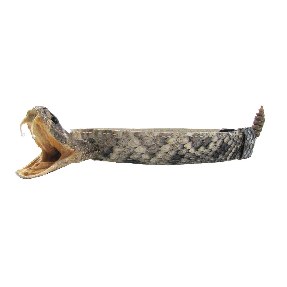 Genuine Eastern Diamondback Rattlesnake Cowboy Hat Band - Real Snakeskin Western Accessory for Cowboy Hats, Rodeo Events & Country Style Fashion