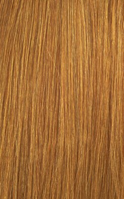 Honey Blonde 27