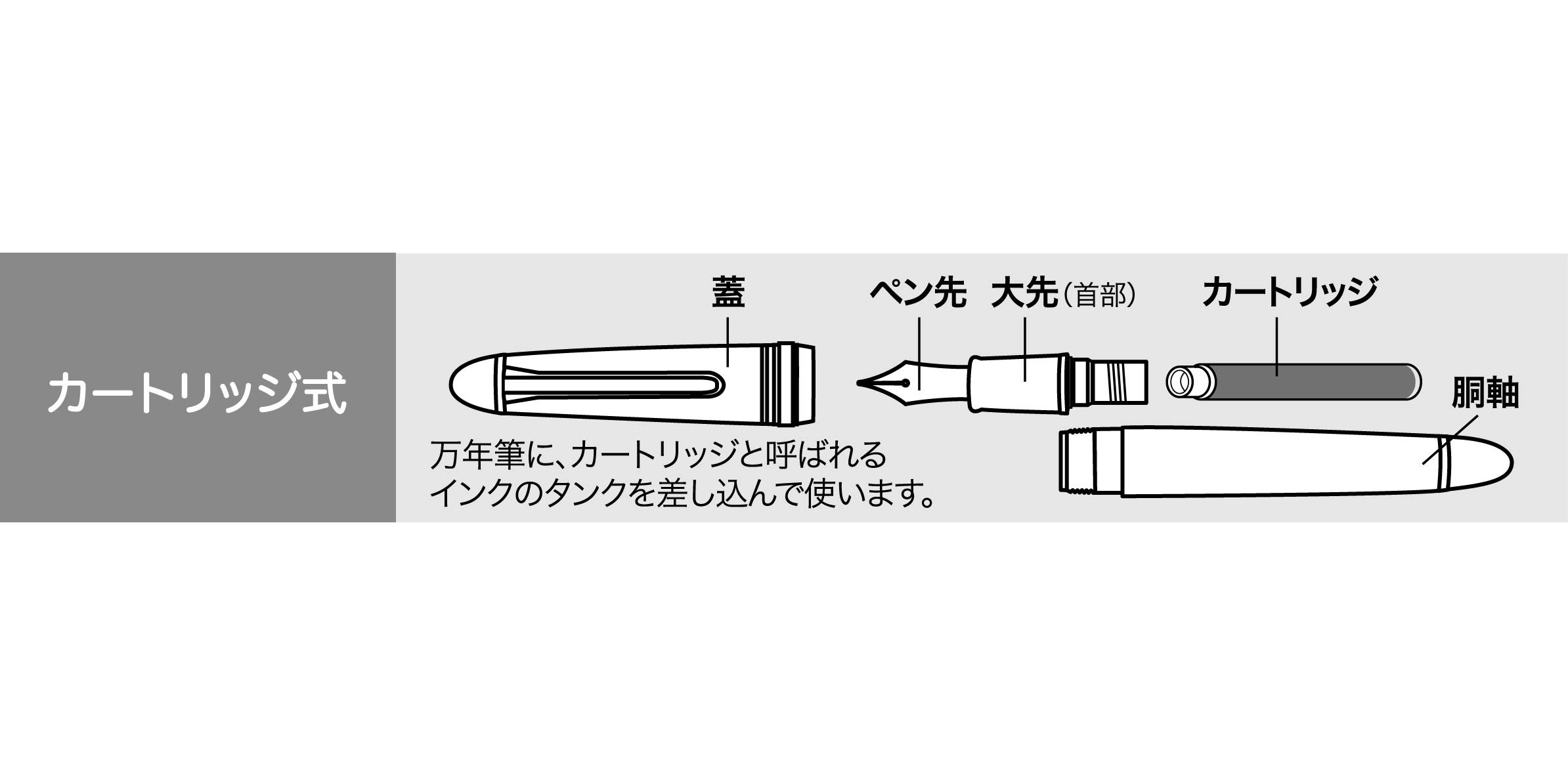 Sailor Fountain Pen Regras Black Fine Point 11-0700-220 - Premium Japanese Writing Instrument for Calligraphy, Journaling & Office Use