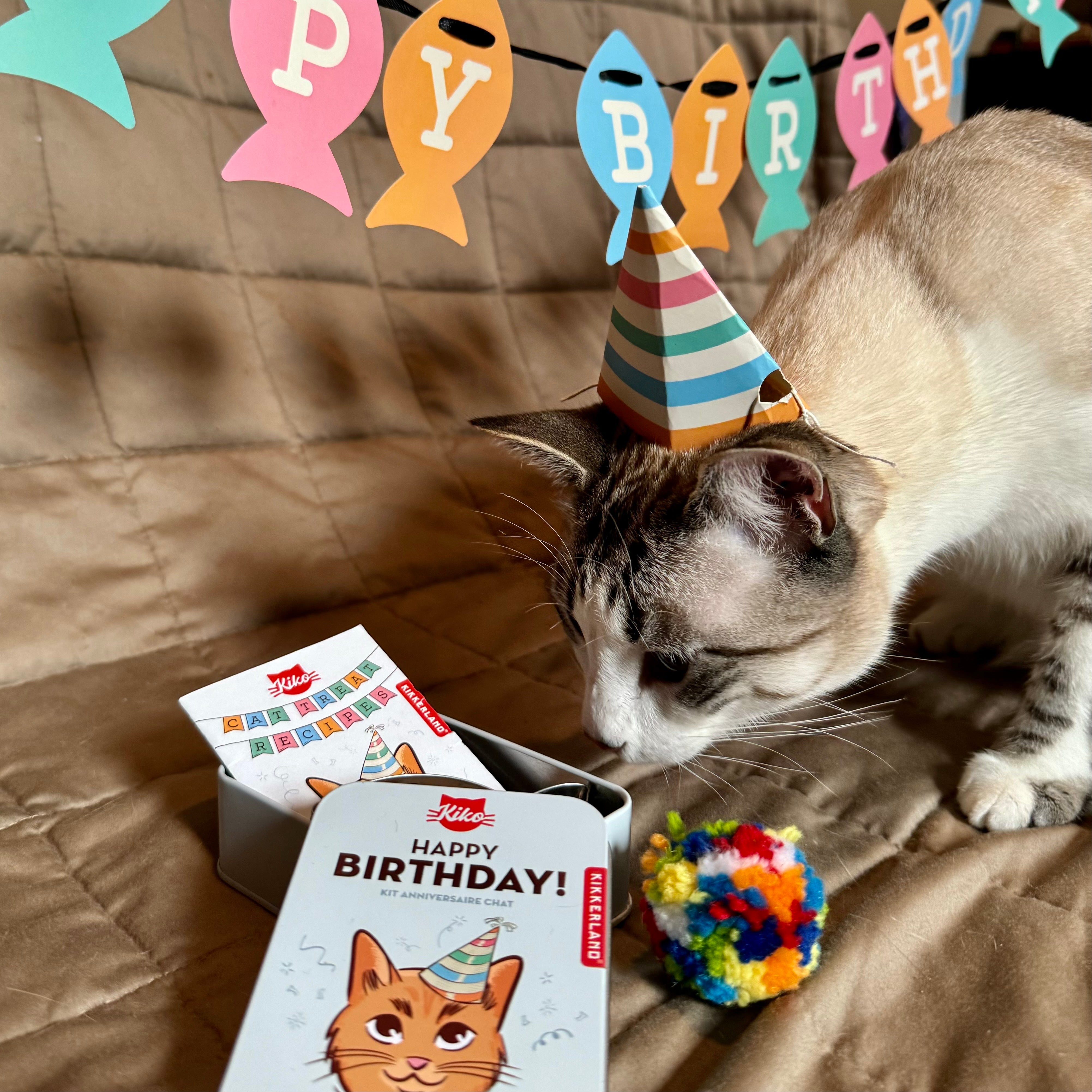 Kiko Cat Happy Birthday Party Kit - Fun Pet Celebration Supplies for Cats & Kittens - Perfect for Birthdays, Adoption Anniversaries & Special Occasions