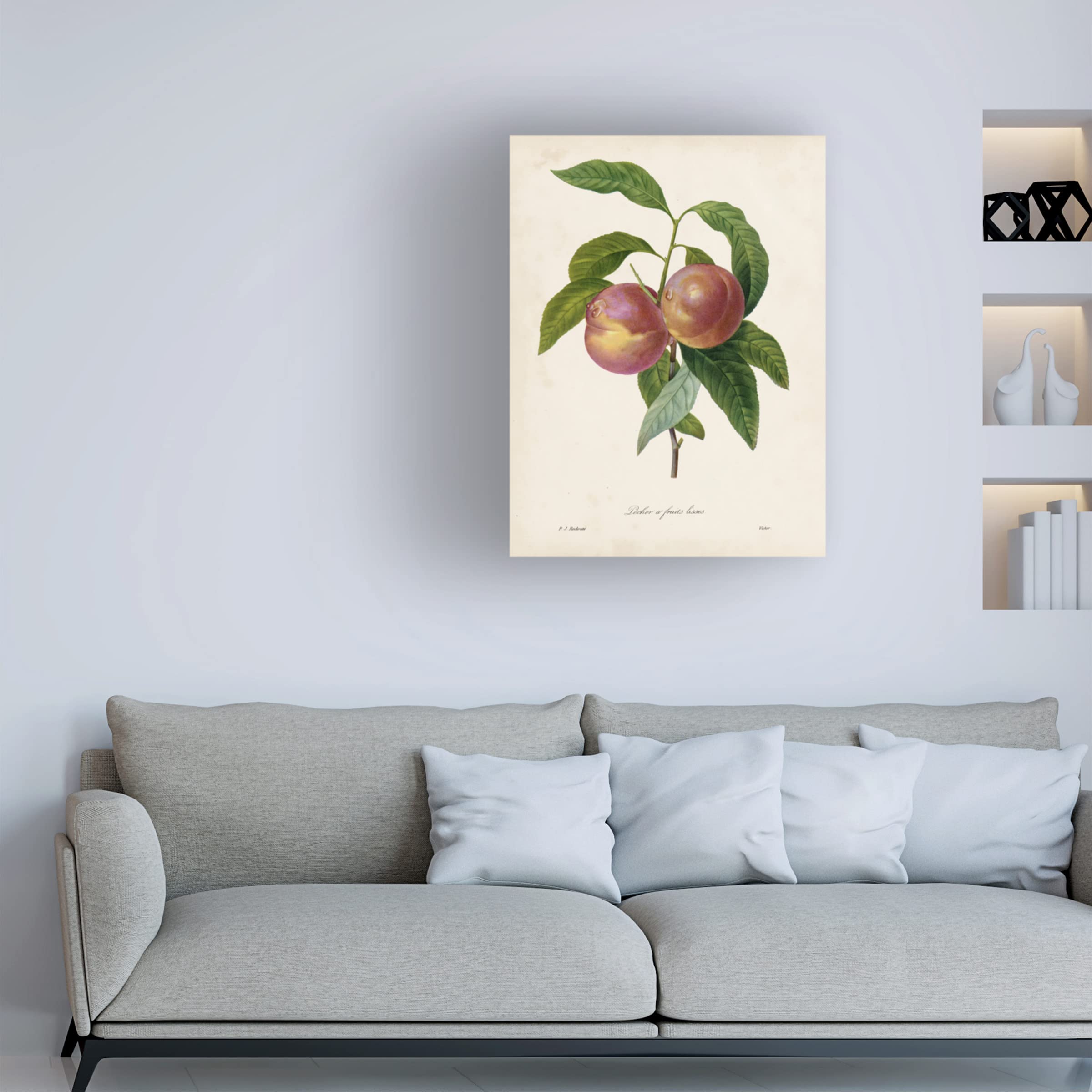 Trademark Fine Art 'Redoutes Fruit II' Canvas Wall Art Print by Pierre Redoute - Elegant Botanical Decor for Dining Room, Living Room & Office