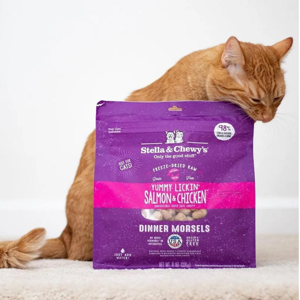 Grain-Free Freeze-Dried Salmon & Chicken Dinner Morsels for Cats - High-Protein Cat Food for Indoor & Outdoor Cats - Perfect for Training, Treats, and Mealtime Rewards