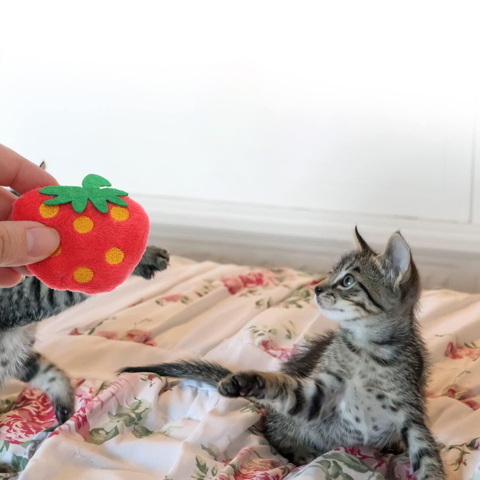 10pcs Cat Toys for Indoor Cats - Plush Chew Sticks & Squeaky Strawberry Toys for Kittens & Small Dogs - Perfect for Playtime, Teething & Stress Relief