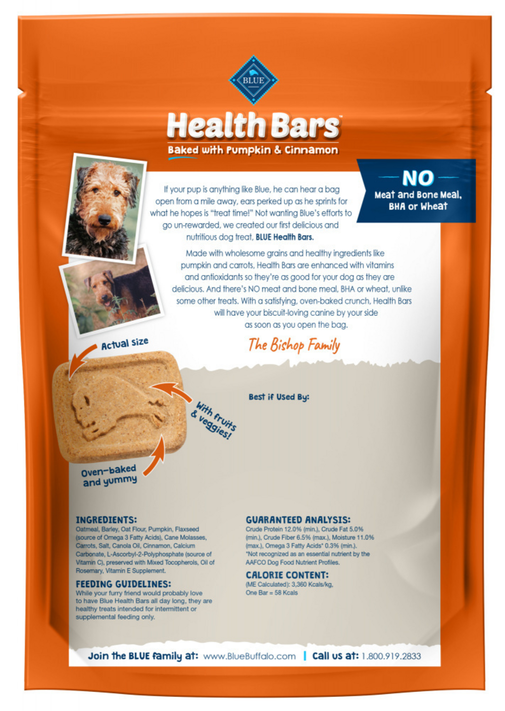 Healthy Blue Pumpkin & Cinnamon Baked Dog Treats - All-Natural Snacks for Training, Rewards and Digestive Health