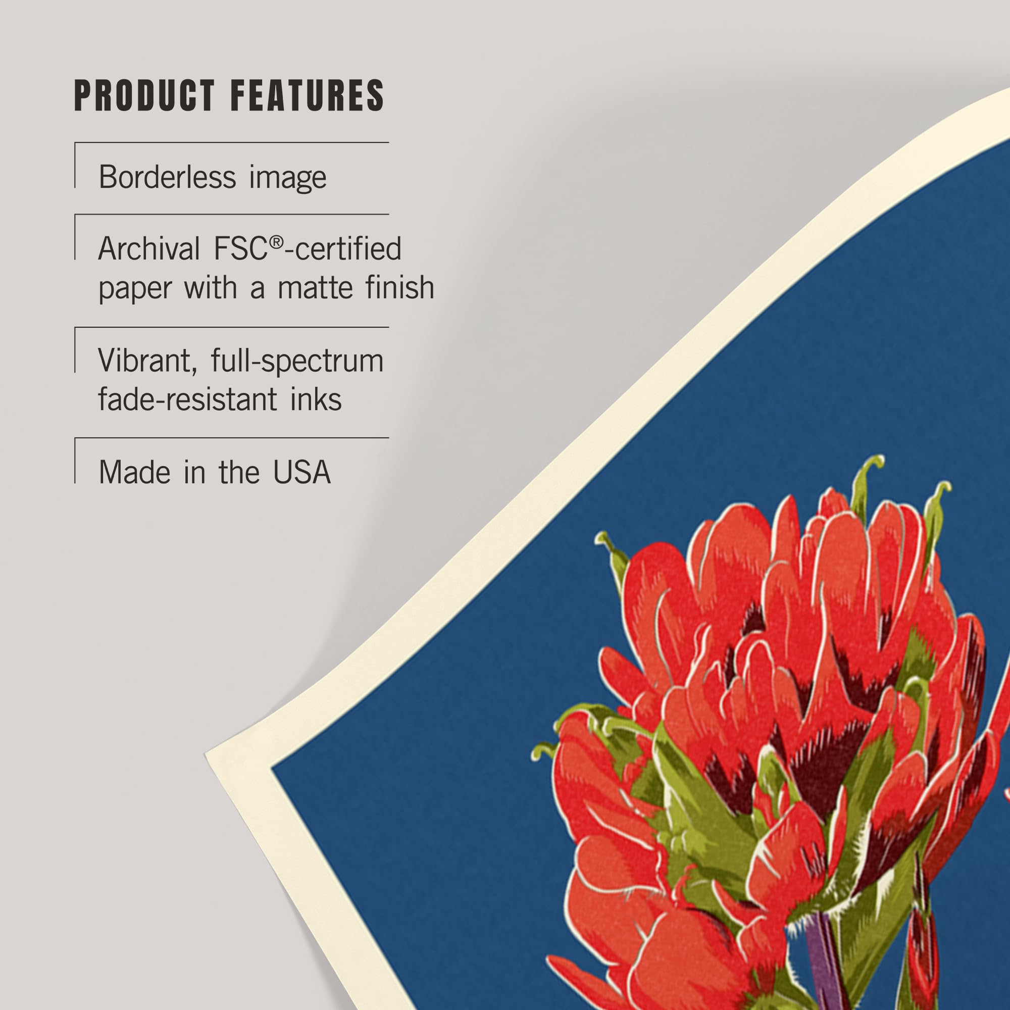 Lantern Press 16x24 Inch Giclee Art Print - Indian Paintbrush Wildflower Wall Decor | Premium Letterpress Fine Art Poster for Living Room, Bedroom & Office