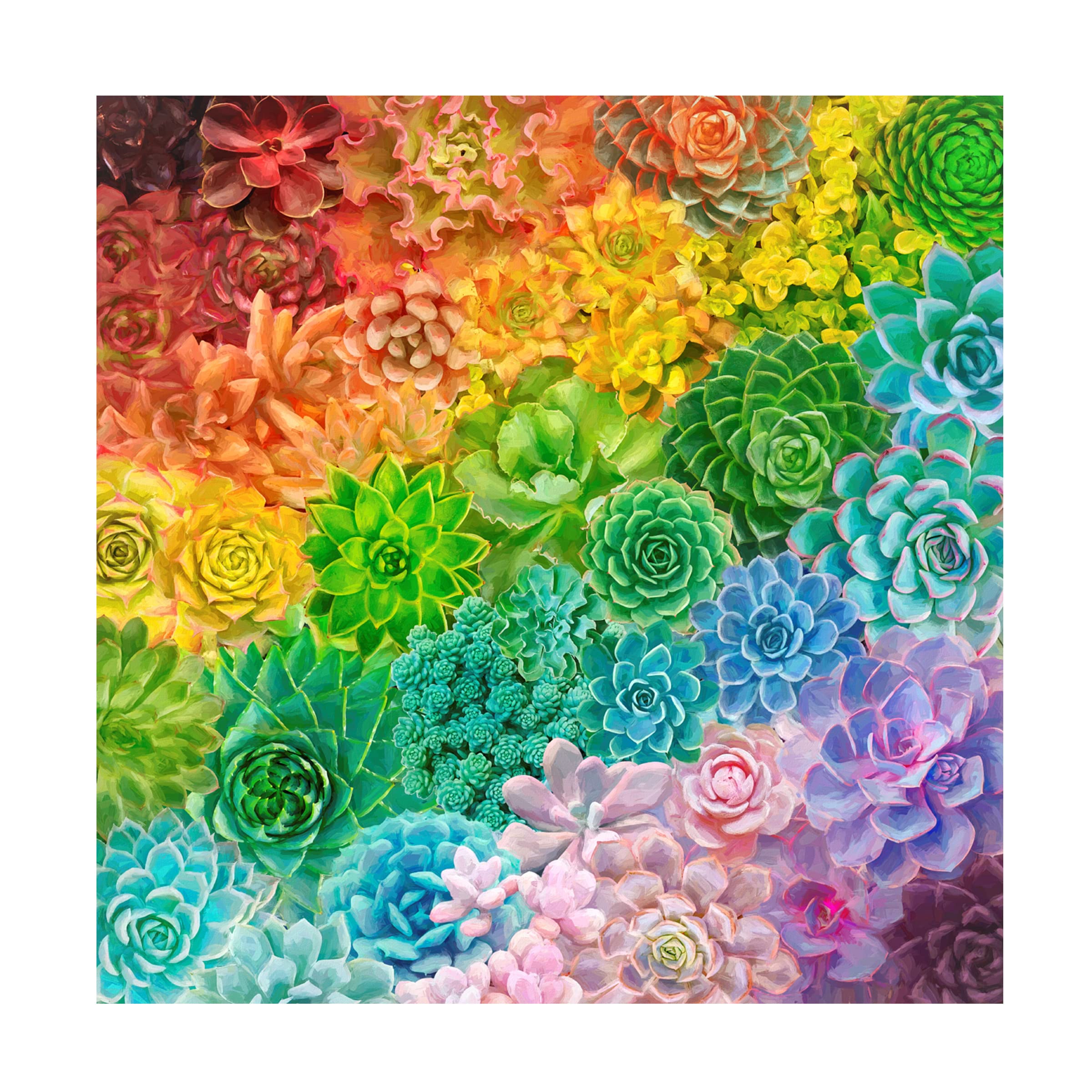 Trademark Fine Art 'Rainbow Succulents' Canvas Wall Art by Cora Niele - Vibrant Botanical Painting for Living Room, Bedroom & Office Decor