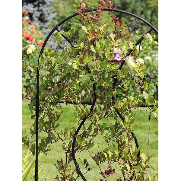 Orangery Garden Trellis Set - Decorative Metal Plant Support for Climbing Roses, Vines & Flowers - Perfect for Outdoor Gardens, Patios & Backyard Landscaping