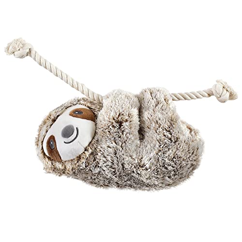 Sloth