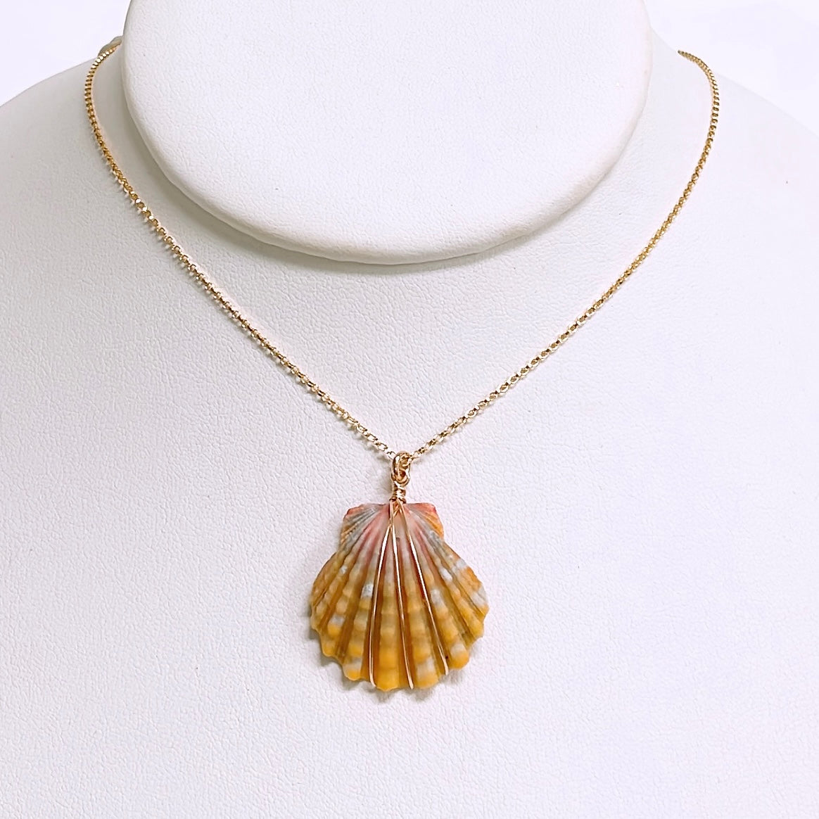 Sunrise Shell Necklace - 1 Inch Natural Seashell Pendant for Women - Perfect for Beach Vacations, Boho Fashion & Summer Outfits